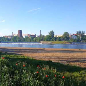 Miejska plaża nad Odrą w Brzegu - miejska plaza nad odra w brzegu 8