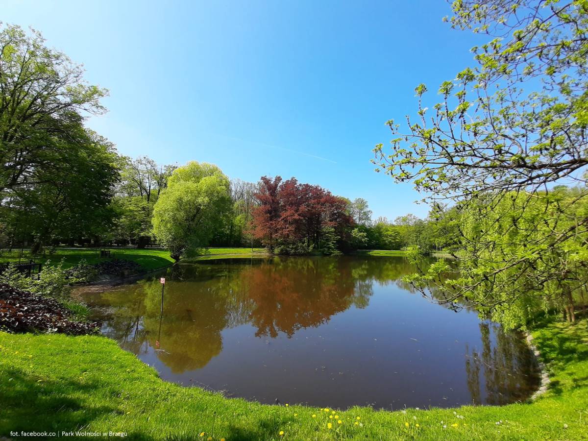 Park Wolności w Brzegu - park wolnosci w brzegu 2