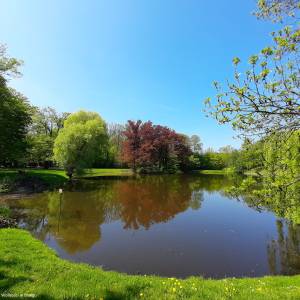 Park Wolności w Brzegu - park wolnosci w brzegu 2