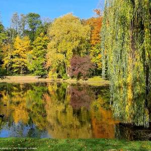 Park Wolności w Brzegu - park wolnosci w brzegu 4