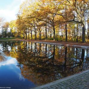 Park Wolności w Brzegu - park wolnosci w brzegu 5