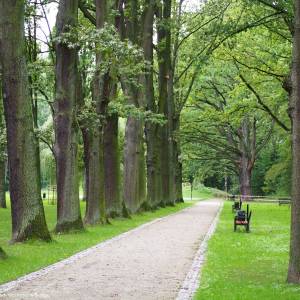 Park Wolności w Brzegu - park wolnosci w brzegu 6