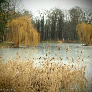 Park Wolności w Brzegu - park wolnosci w brzegu 7