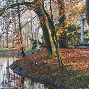 Park Wolności w Brzegu - park wolnosci w brzegu 8