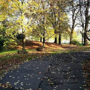 Park Nadodrzański w Brzegu - park nadodrzanski w brzegu 1