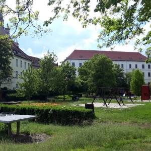 Park Nadodrzański w Brzegu - park nadodrzanski w brzegu 5