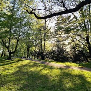 Park Nadodrzański w Brzegu - park nadodrzanski w brzegu 7