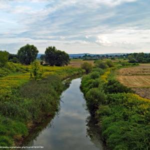 Dłubniański Park Krajobrazowy - dlubnia river in mogila nowa huta krakow poland