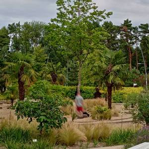 Promenada Zdrowia w Świnoujściu - promenada zdrowia w swinoujsciu 4