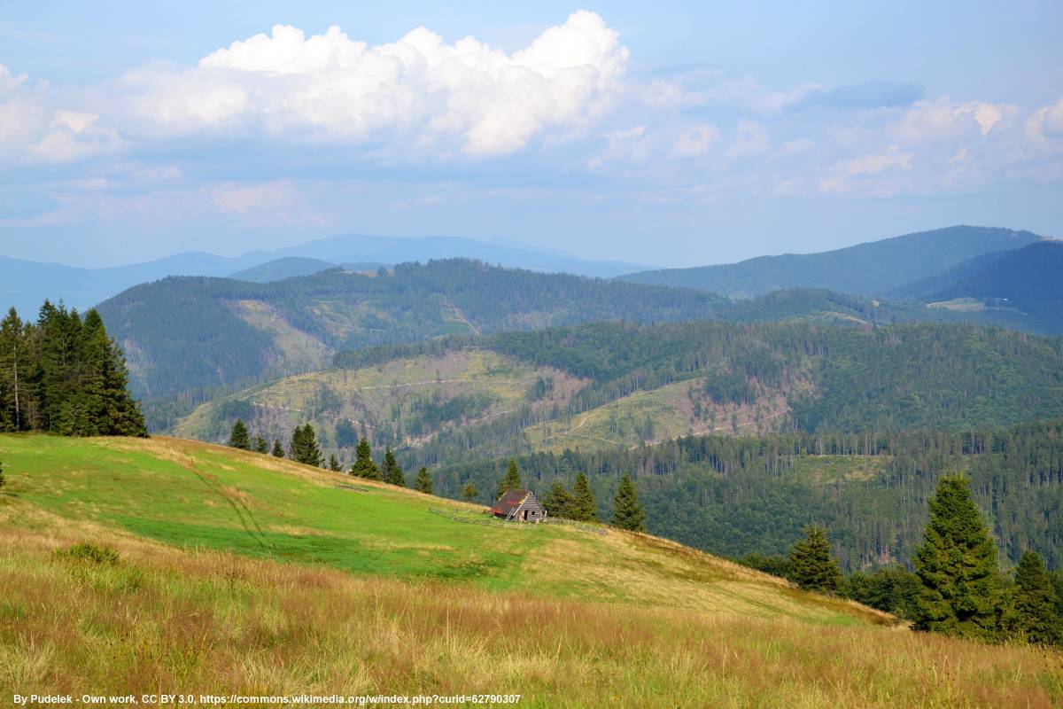 Mała Racza (1153 m n.p.m.) - beskid zywiecki widok z malej raczy