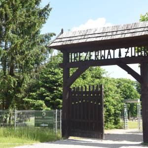 Rezerwat Pokazowy Żubrów w Białowieży - 7266 rezerwat pokazowy zubrow w bialowiezy june 2021