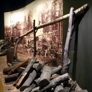 Muzeum Przyrodniczo-Leśne w Białowieży - bialowieza july 2013 094 1