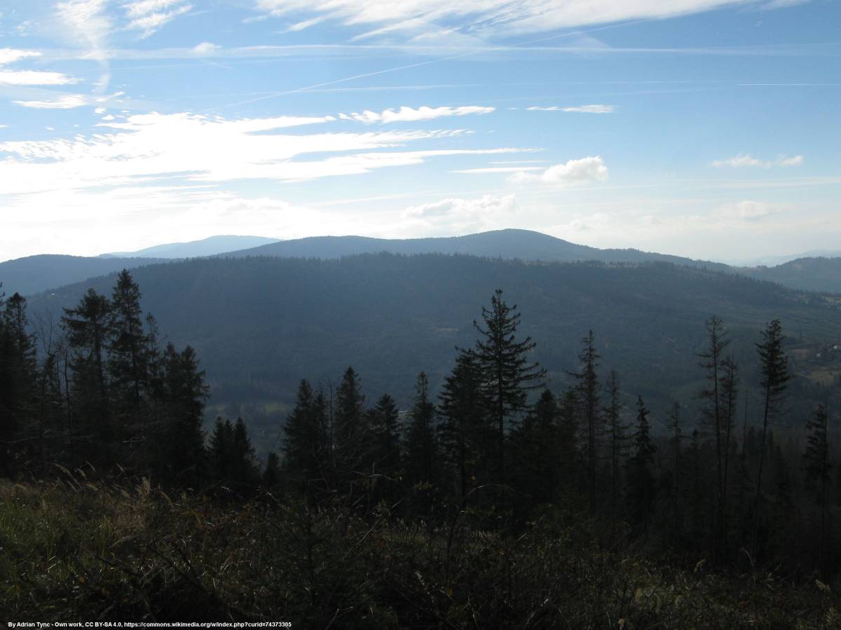 Oźna (952 m n.p.m.) - ozna kikula