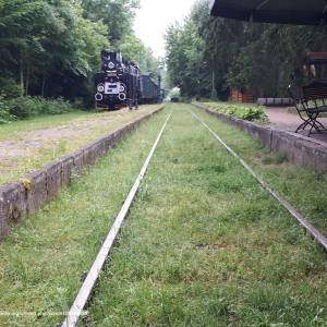 Białowieskie Drezyny Rowerowe - 20210612 173815 june 2021 in bialowieza