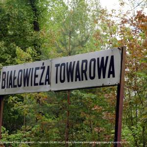 Białowieskie Drezyny Rowerowe - bialowieza towarowa tablica 2015 05 15 14 42 49