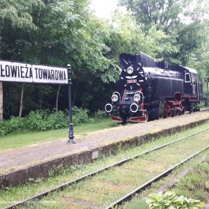 Białowieskie Drezyny Rowerowe - tkt48 138 june 2021 in bialowieza