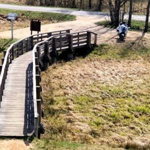 Wieża widokowa Pogorzelce w Białowieży - schowek01