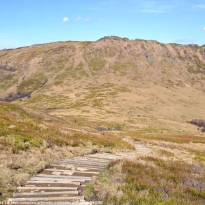 Przełęcz Goprowska - przelecz goprowska bieszczady