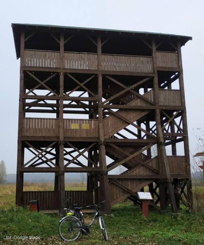 Wieża Widokowa przy Moście w Białowieży - schowek01