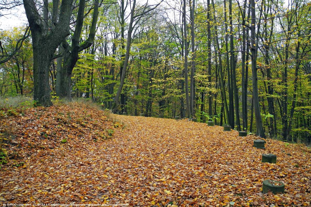 Park pałacowy w Kamieńcu Ząbkowickim - kamieniec schlosspark kolonnade 1