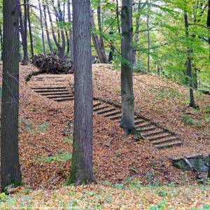 Park pałacowy w Kamieńcu Ząbkowickim - kamieniec schlosspark altan 