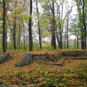 Park pałacowy w Kamieńcu Ząbkowickim - kamieniec schlosspark altan