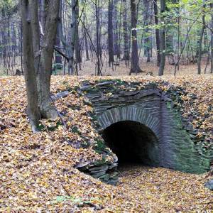 Park pałacowy w Kamieńcu Ząbkowickim - kamieniec schlosspark brucke