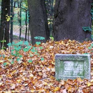 Park pałacowy w Kamieńcu Ząbkowickim - kamieniec schlosspark teichweg