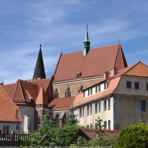 Sanktuarium Męki Pańskiej w Ziębicach - ziebice pohled na centrum od severu