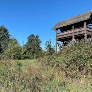 Wieża widokowa Kanał Rudzki - schowek15