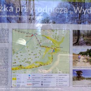 Wieża widokowa Wilcza Góra - sciezkaprzyrodniczawydmy bpn