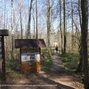 Uroczysko Grzędy - rezerwat czerwone bagno bpn 3