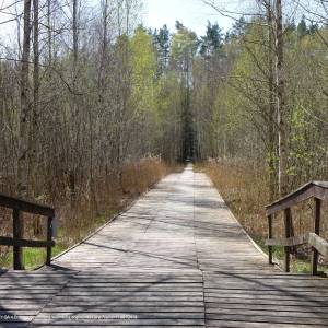 Uroczysko Grzędy - rezerwat czerwone bagno bpn 5