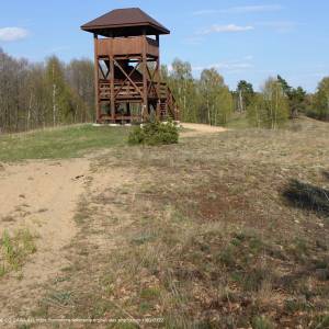 Uroczysko Grzędy - sciezkaprzyrodniczawydmy bpn 10