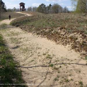 Uroczysko Grzędy - sciezkaprzyrodniczawydmy bpn 6