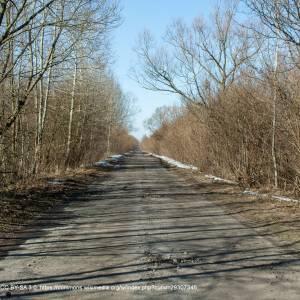 Carska Droga - carska droga biebrzanski park narodowy