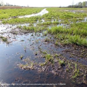 Wieża widokowa Barwik - barwik gugny mapa bpn 02