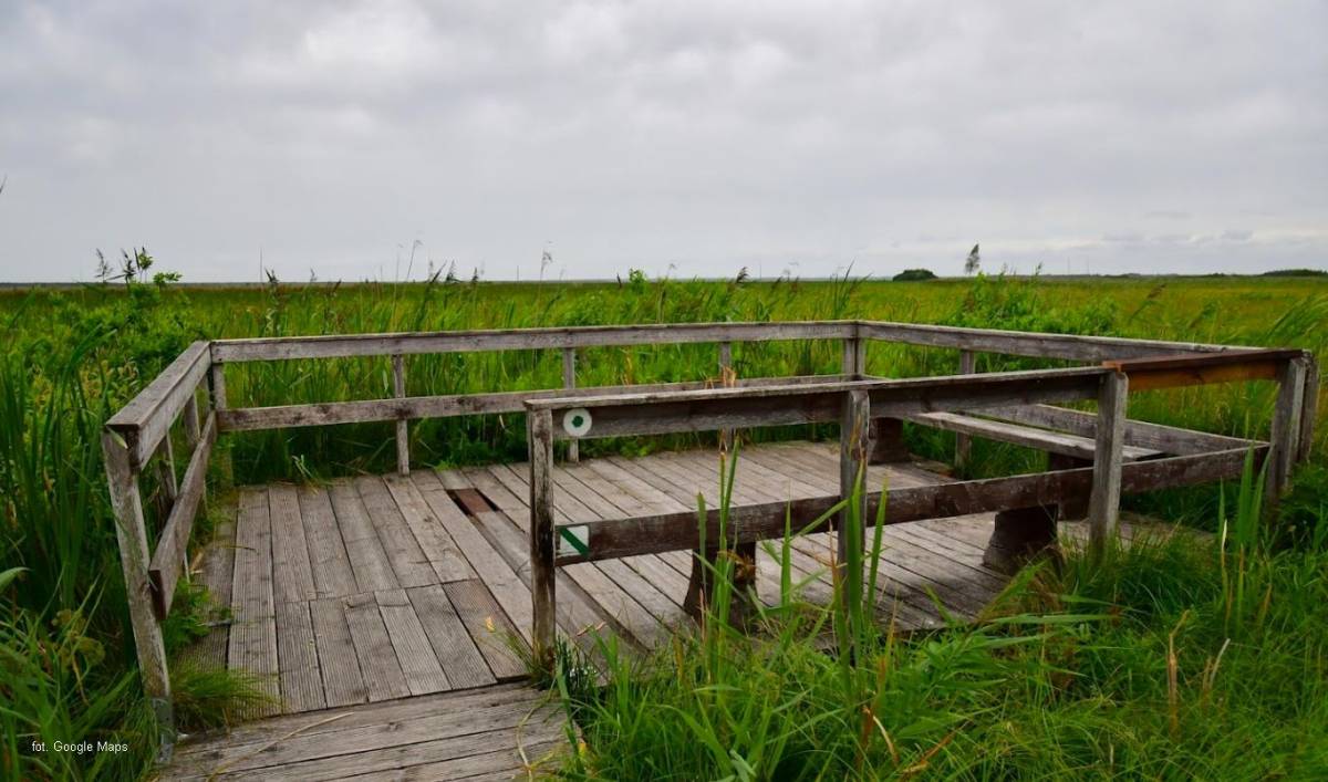 Platfortma widokowa "Długa Luka" - platforma widokowa dluga luka