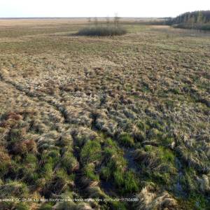 Platfortma widokowa "Długa Luka" - bagno lawki bpn 8