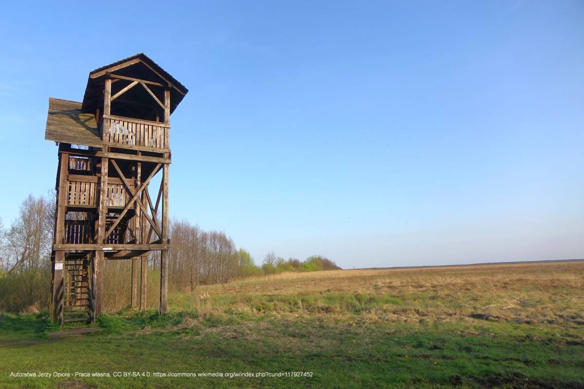 Wieża widokowa Bagno Ławki - bagno lawki bpn 2