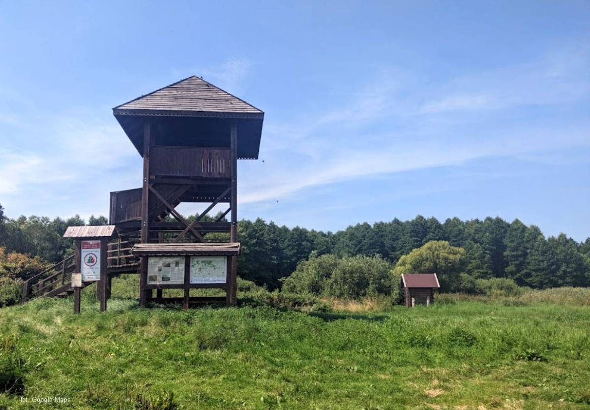 Wieża widokowa Trzyrzeczki - wieza widokowa trzyrzeczki2