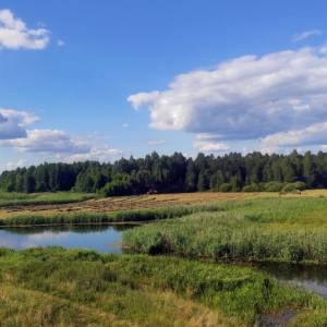 Wieża widokowa Trzyrzeczki - wieza widokowa trzyrzeczki5