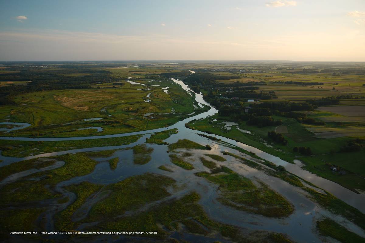 Rzeka Biebrza - narew z prawym doplywem biebrza