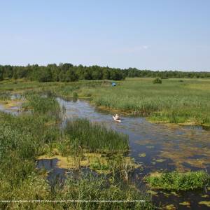 Rzeka Biebrza - biebrza splyw kajakowy 17 07 2009 p