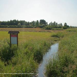 Rzeka Biebrza - lipsk biebrza