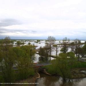 Ścieżka przyrodnicza "Mokradła" - park ujscie warty 3