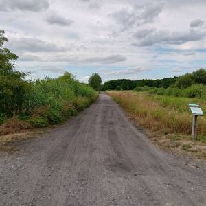 Parking przy ścieżce Olszynki - parking przy sciezce olszynki 19