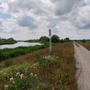 Ścieżka przyrodnicza "Na dwóch kółkach przez Polder Północny" - sciezka przyrodnicza na dwoch kolkach przez polder polnocny 10