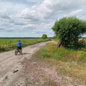 Ścieżka przyrodnicza "Na dwóch kółkach przez Polder Północny" - sciezka przyrodnicza na dwoch kolkach przez polder polnocny 17