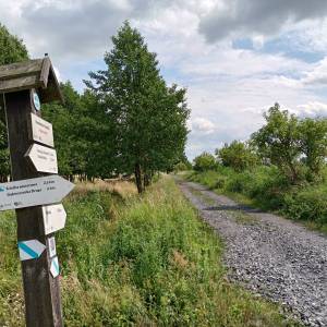 Ścieżka przyrodnicza "Na dwóch kółkach przez Polder Północny" - sciezka przyrodnicza na dwoch kolkach przez polder polnocny 18